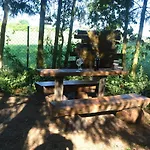 Magic Wood Koniewo * Lidzbark Warmiński