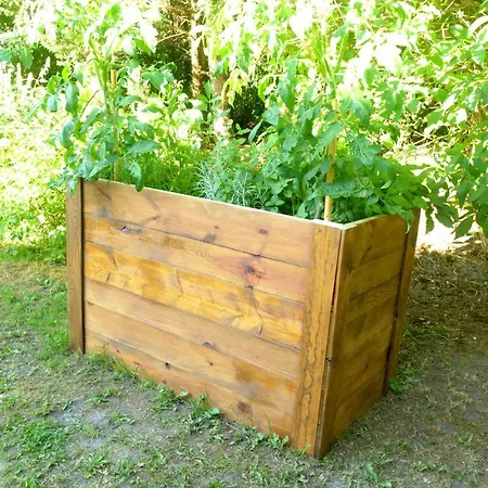 Magic Wood Koniewo * Lidzbark Warmiński