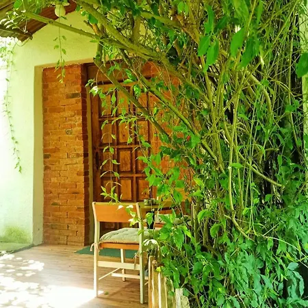 Appartement Magic Wood Koniewo *