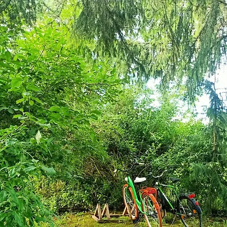 Magic Wood Koniewo 公寓