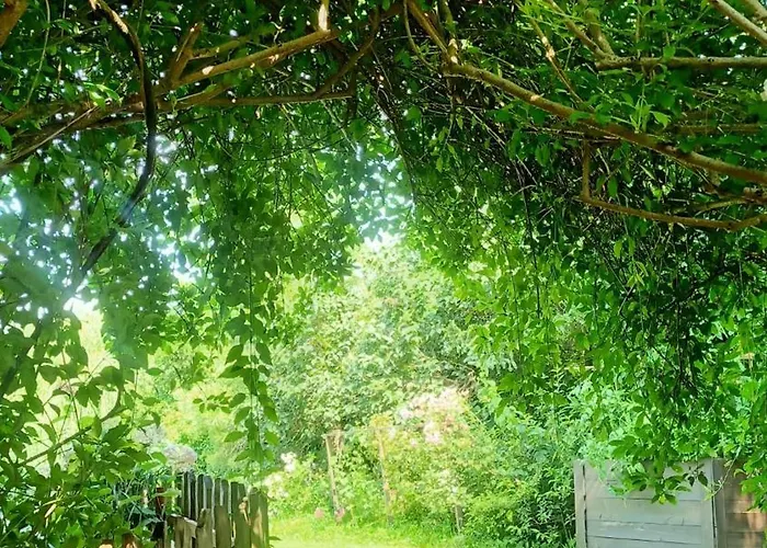 Magic Wood Koniewo * Lidzbark Warminski