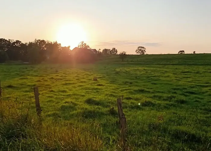 Magic Wood Koniewo * Lidzbark Warminski